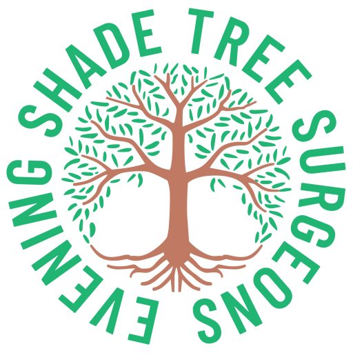 Tree Services in Port Orange, FL to Enhance Your Landscape