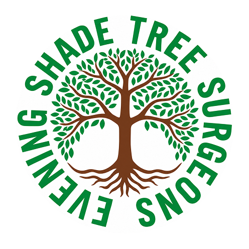 Evening Shade Tree Surgeons
