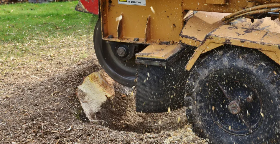 Stump Grinding & Removal Stump Grinding & Removal