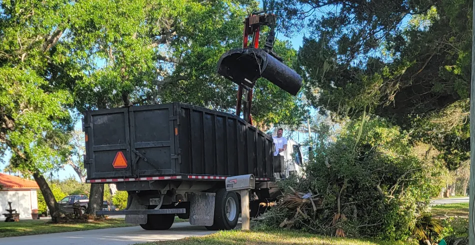Tree Debris Removal Tree Debris Removal
